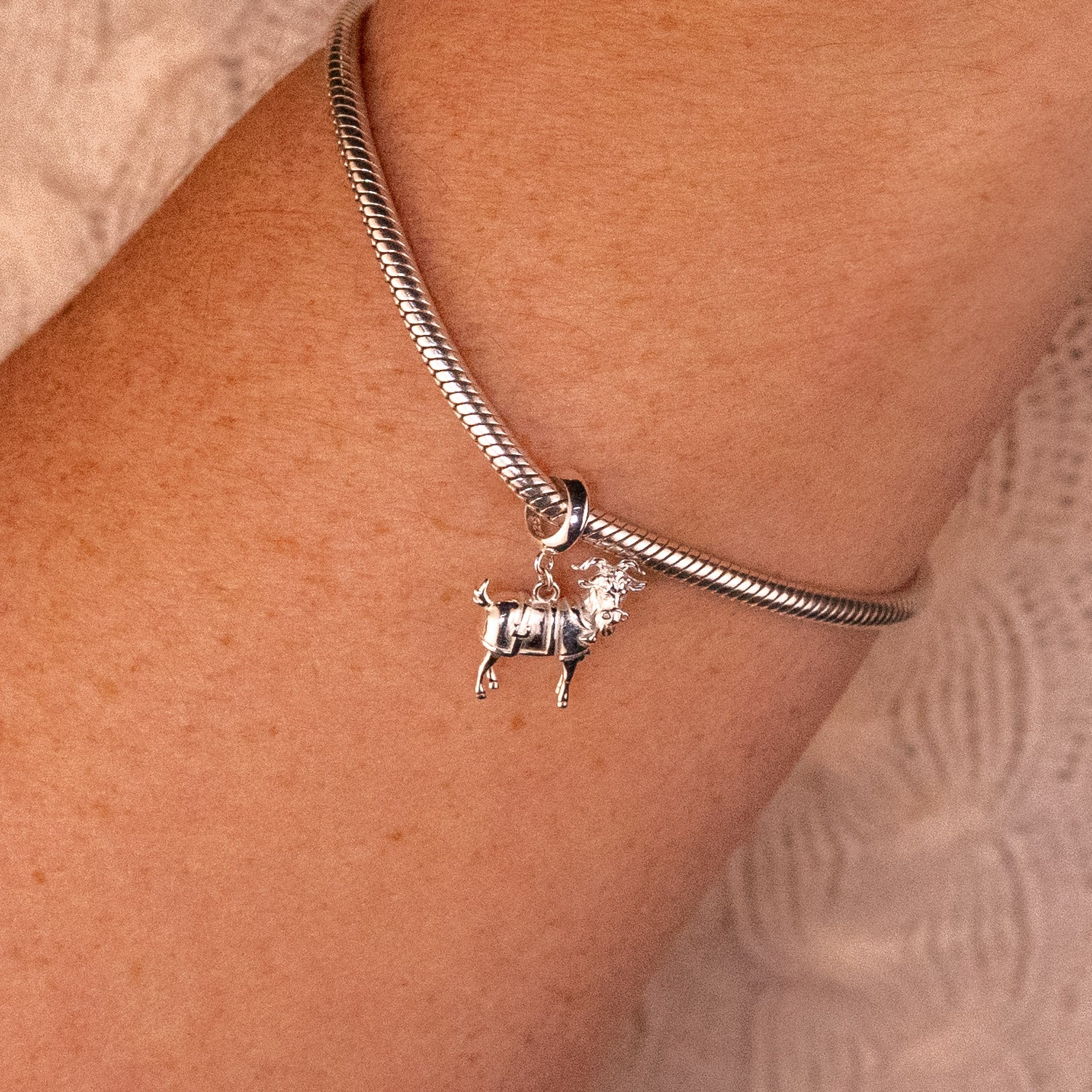 Wicked: For Good Doctor Dillamond Sterling Silver Slider Charm - GeekCore