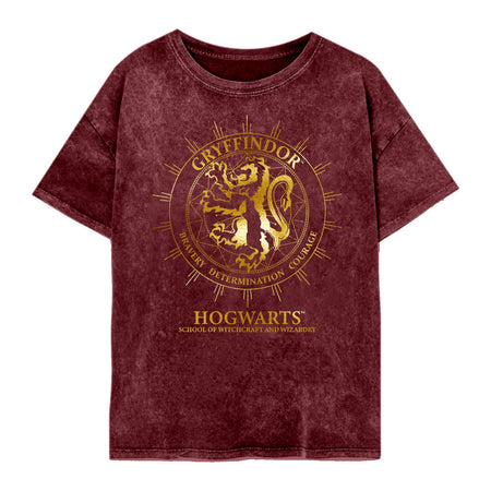 Harry Potter Gryffindor Constellations SuperHeroes Inc. Acid Wash T-Shirt