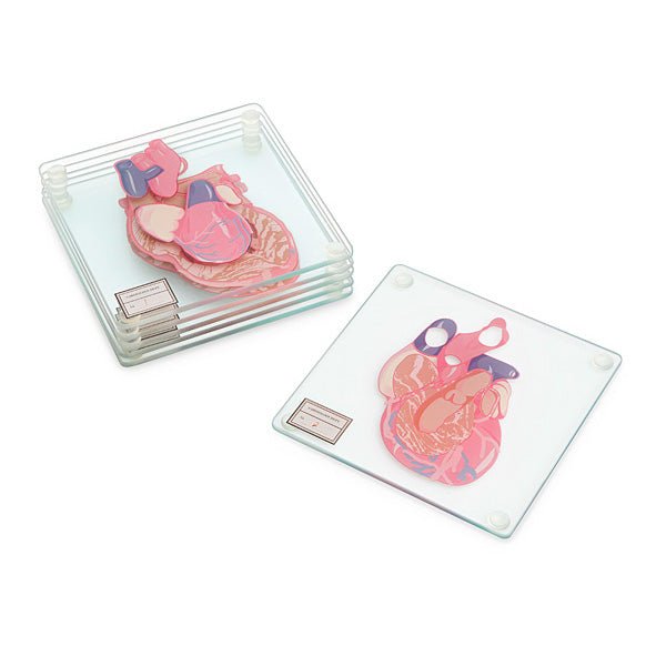 Anatomic Heart Specimen Coasters - GeekCore