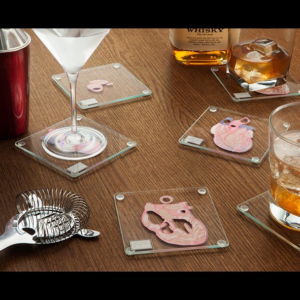 Anatomic Heart Specimen Coasters - GeekCore