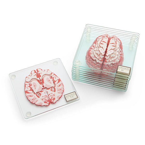 Brain Specimen Coasters - GeekCore