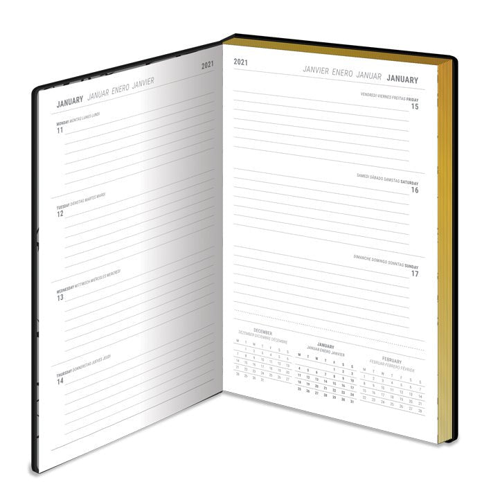 Disney Villains Premium 2021 Diary - GeekCore