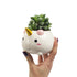 Elodie the Unicorn Planter - GeekCore