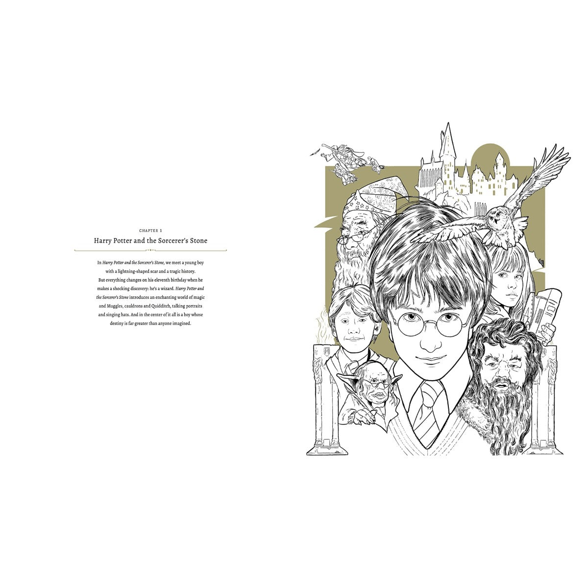 Harry Potter: A Cinematic Gallery - 80 Original Images to Colour and Inspire - GeekCore