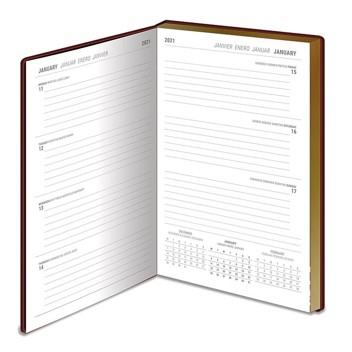 Harry Potter When In Doubt Go To The Library Premium 2021 Diary - GeekCore