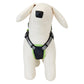 Loungefly x Beetlejuice Cosplay Mini Backpack Dog Harness - GeekCore