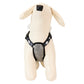 Loungefly x Disney Big Hero 6 Baymax Pet Harness - GeekCore
