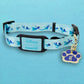 Loungefly x Disney Peter Pan Dog Collar - GeekCore