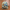 Loungefly x Disney The Sword in the Stone Mini Backpack - GeekCore