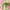 Loungefly x Disney Tinkerbell Pastel Flowers AOP Mini Backpack - GeekCore