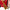 Loungefly x Dr Seuss Grinch Sleigh Crossbody Bag - GeekCore