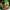 Loungefly x Harry Potter Herbology Mini Backpack - GeekCore