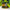 Loungefly x Nickelodeon Teenage Mutant Ninja Turtles Pizza Pocket Mini Backpack - GeekCore