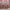 Loungefly x Sanrio Hello Kitty Holiday Plush & Glitter Cosplay Mini Backpack - GeekCore