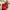 Loungefly x Sanrio Winter Wonderland Hooded Sweatshirt - GeekCore