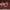 Official Harry Potter Wand in Ollivanders Box - GeekCore