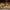 Official Harry Potter Wand in Ollivanders Box - GeekCore