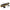 Official Harry Potter Wand in Ollivanders Box - GeekCore